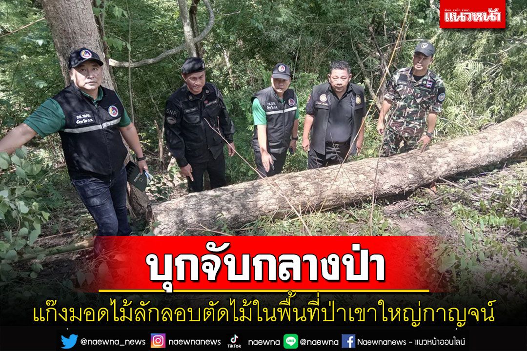 บุกรวบแก๊งมอดไม้กลางป่ากาญจน์สารภาพนำไปแปรรูปปรับพื้นที่ปลูกมันสำปะหลัง