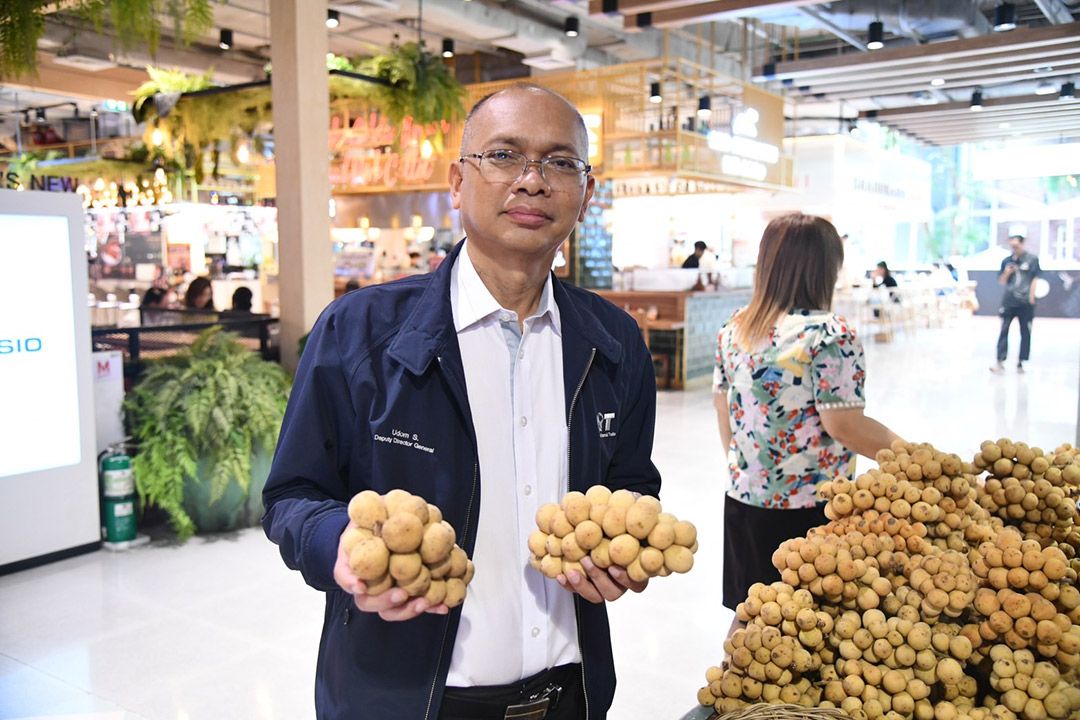 DIT เปิดพื้นที่จำหน่ายลองกองทั่วกรุงเทพฯ และปริมณฑล ช่วยเหลือเกษตรกรลองกอง 3 จชต.