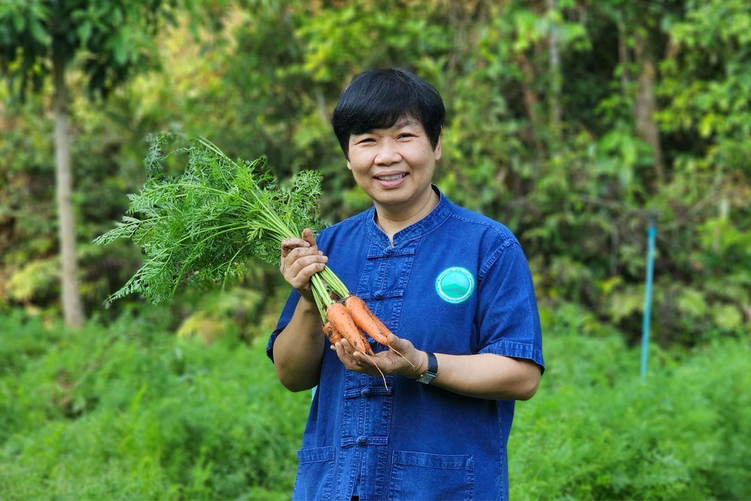 สวพส. ชู การแก้ไขความยากจน บนพื้นที่สูง สำเร็จได้ด้วย  การทำเกษตรอินทรีย์ ตามแนวทางผลสำเร็จของโครงการหลวง