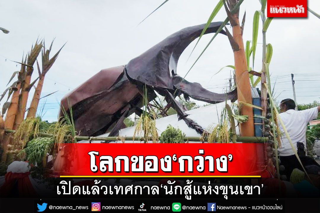 ‘ปัว’คึกคัก!เปิดแล้วเทศกาล‘โลกของกว่าง’นักสู้แห่งขุนเขา