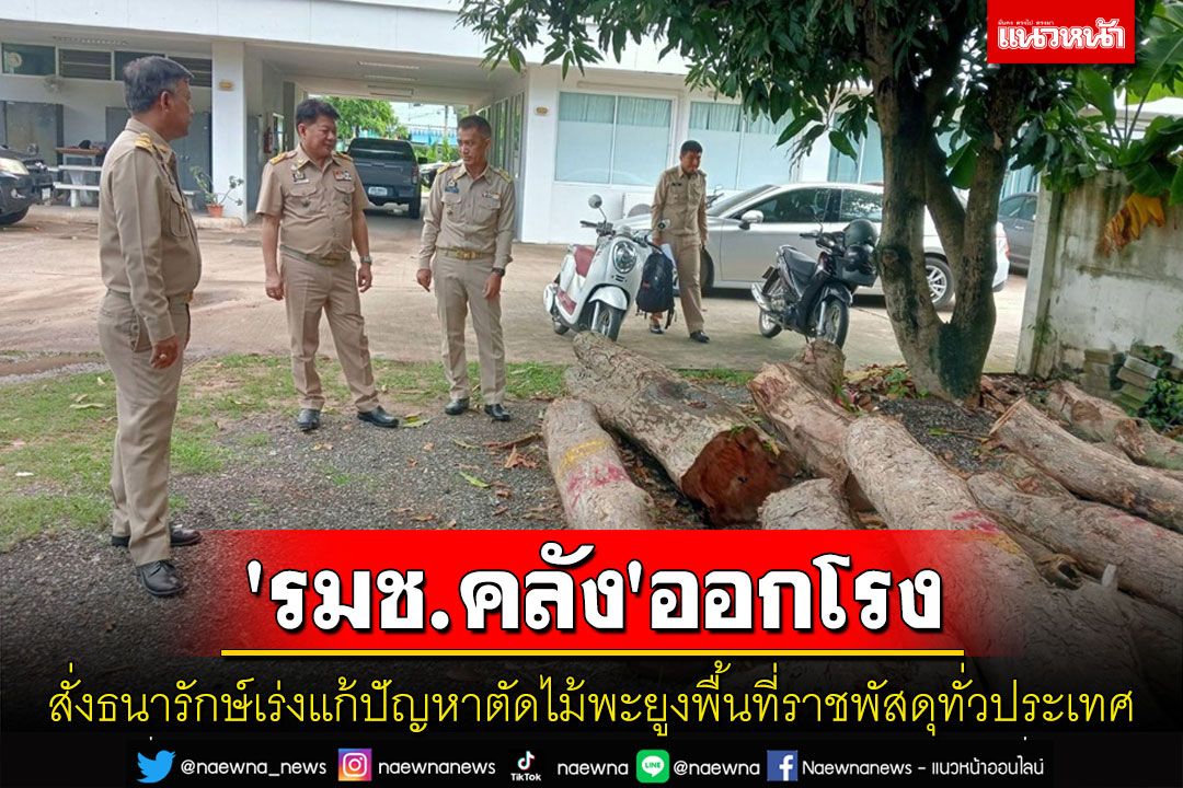 'รมช.คลัง'ออกโรงสั่งธนารักษ์เร่งแก้ปัญหาตัดไม้พะยูงในพื้นที่ราชพัสดุทั่วประเทศ