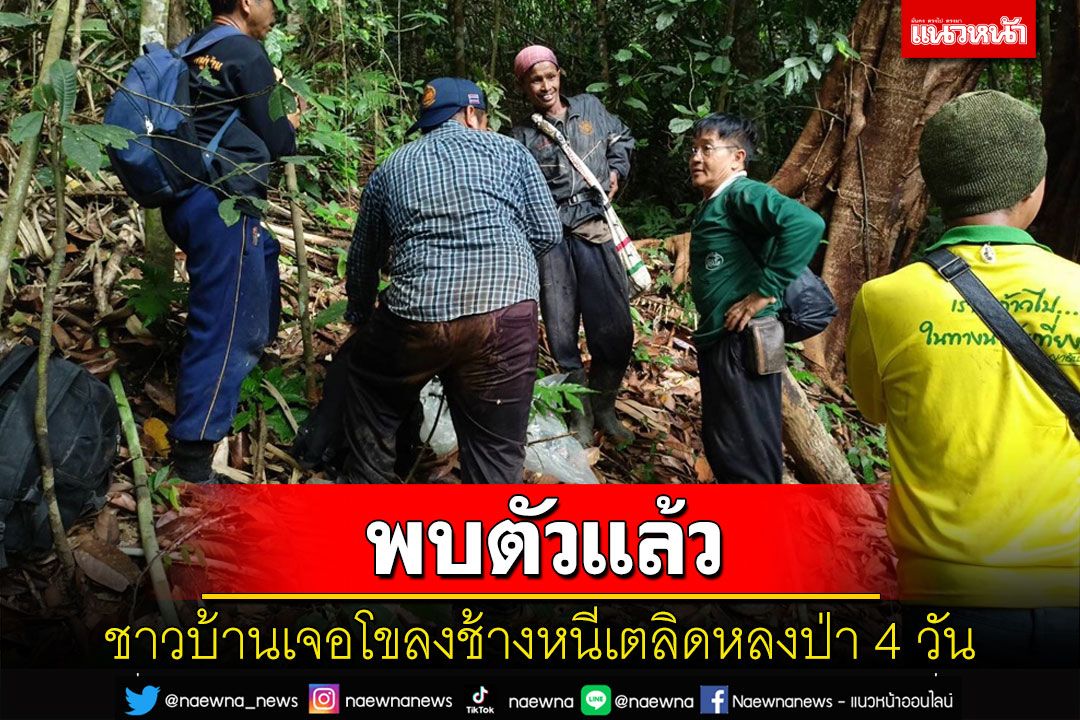 ช้างป่าบุกแนวชายแดนไทยเบตงชาวบ้านเจอหนีเตลิดหลงป่า4วันระดมค้นหาพบตัวแล้ว