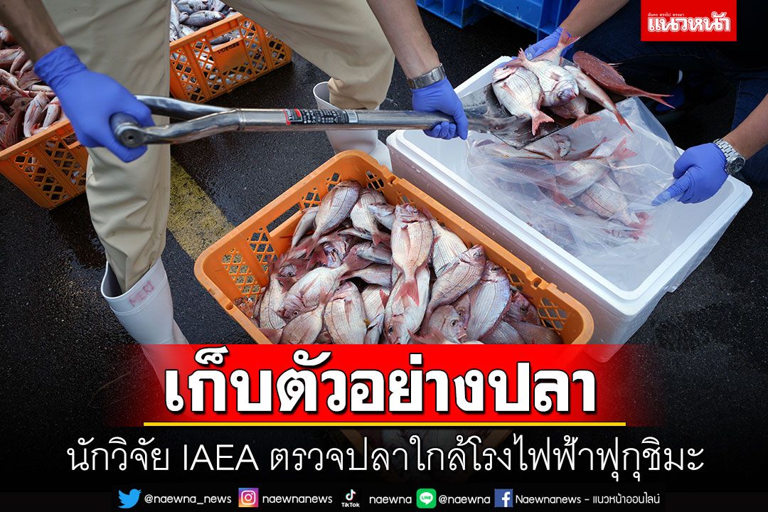 นักวิจัย IAEA ตรวจปลาใกล้โรงไฟฟ้าฟุกุชิมะ หลังปล่อยน้ำปนเปื้อนลงทะเล