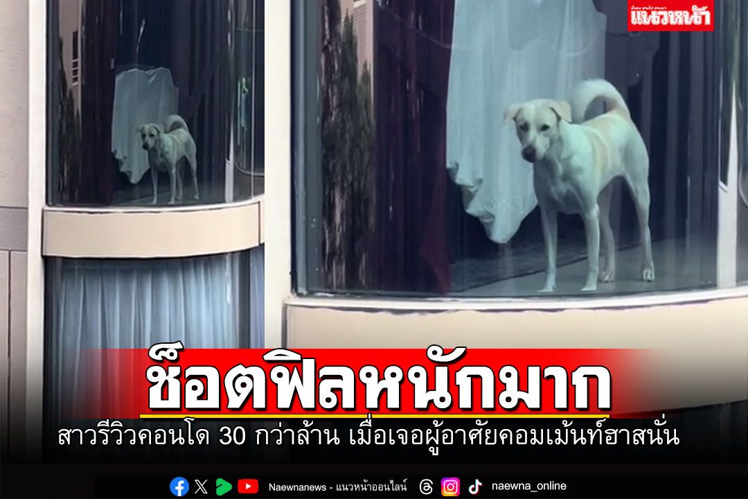 คอมเม้นท์ฮามาก! สาวรีวิวคอนโดกว่า30ล้าน เจอผู้อยู่อาศัยแล้วช็อตฟิลมาก (คลิป)