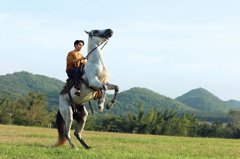 ปีทอง ‘เด่นคุณ งามเนตร’ พระเอกเลือดอีสาน  กับฉายา ‘จอมโกยเรตติ้ง’ ละคร 4 เรื่องปังทุกเรื่อง!