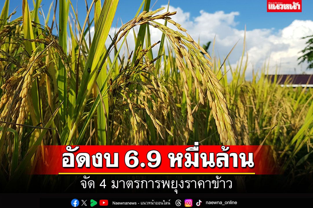 อัดงบ 6.9 หมื่นล้าน  จัด 4 มาตรการพยุงราคาข้าว