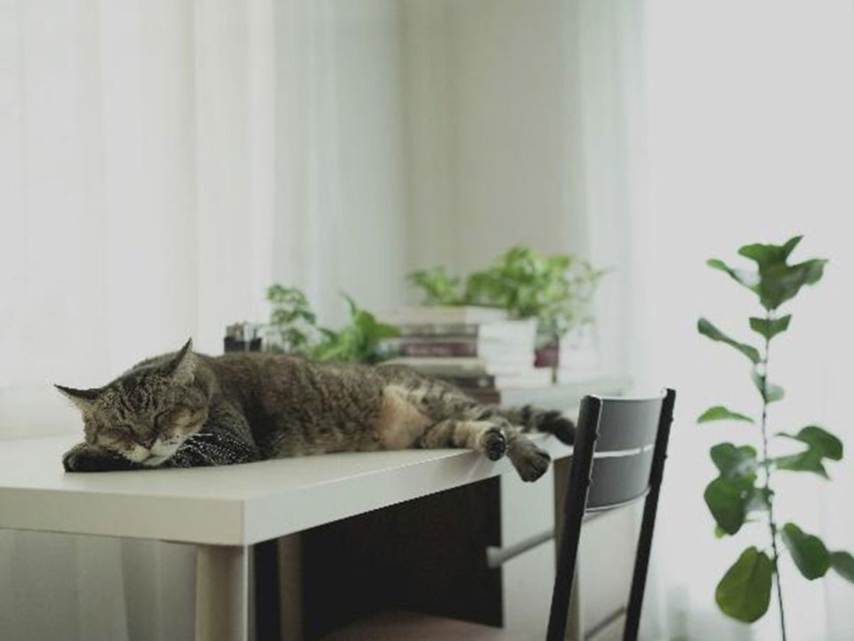 อิเกียชวนสร้างแรงบันดาลใจไลฟ์สไตล์ยุคใหม่ ในนิทรรศการ‘The Art of Better Living’