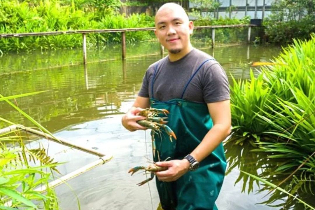 ‘กุ้งเครย์ฟิช’ โซลูชันใหม่เพื่อเอาชนะความไม่มั่นคงทางอาหารจากสิงคโปร์