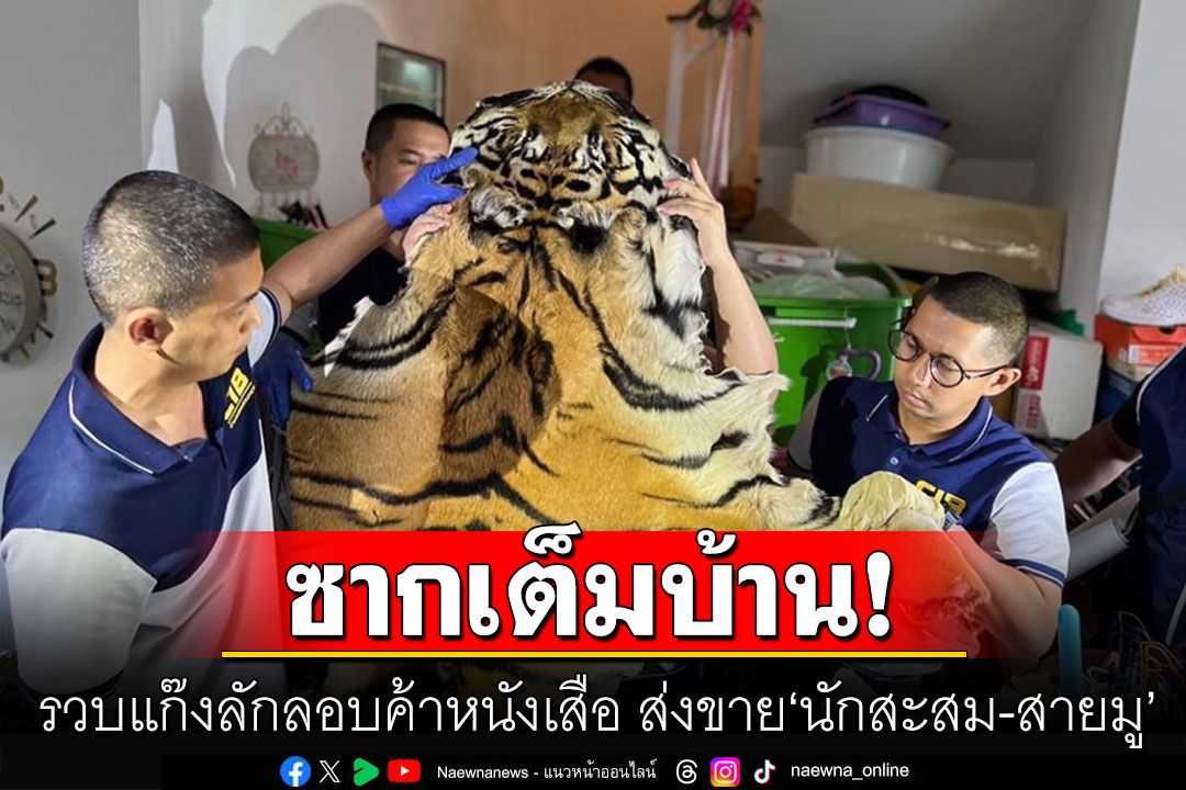 รวบแก๊งลักลอบค้าหนังเสือ ส่งขาย‘นักสะสม-สายมู’ ยึดของกลางกว่า 500 รายการ