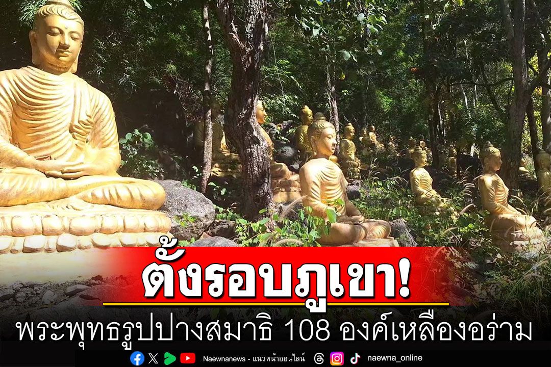 สุดทึ่ง! พระพุทธรูปปางสมาธิ 108 องค์เหลืองอร่าม ตั้งรอบภูเขาในป่าวัดดัง