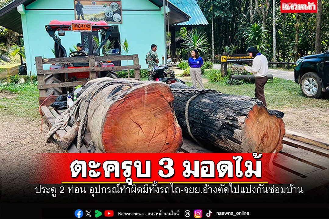 จนท.อุทยานฯลำคลองงู ตะครุบ 3 มอดไม้กลางป่า พร้อมของกลาง อ้างเอาไปทำบ้าน