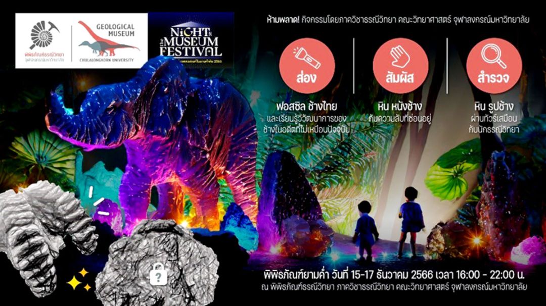 จุฬาฯเปิดพิพิธภัณฑ์ยามค่ำคืน 4 แห่ง เตรียมโชว์เรื่องช้าง พร้อมแสงสีงดงาม