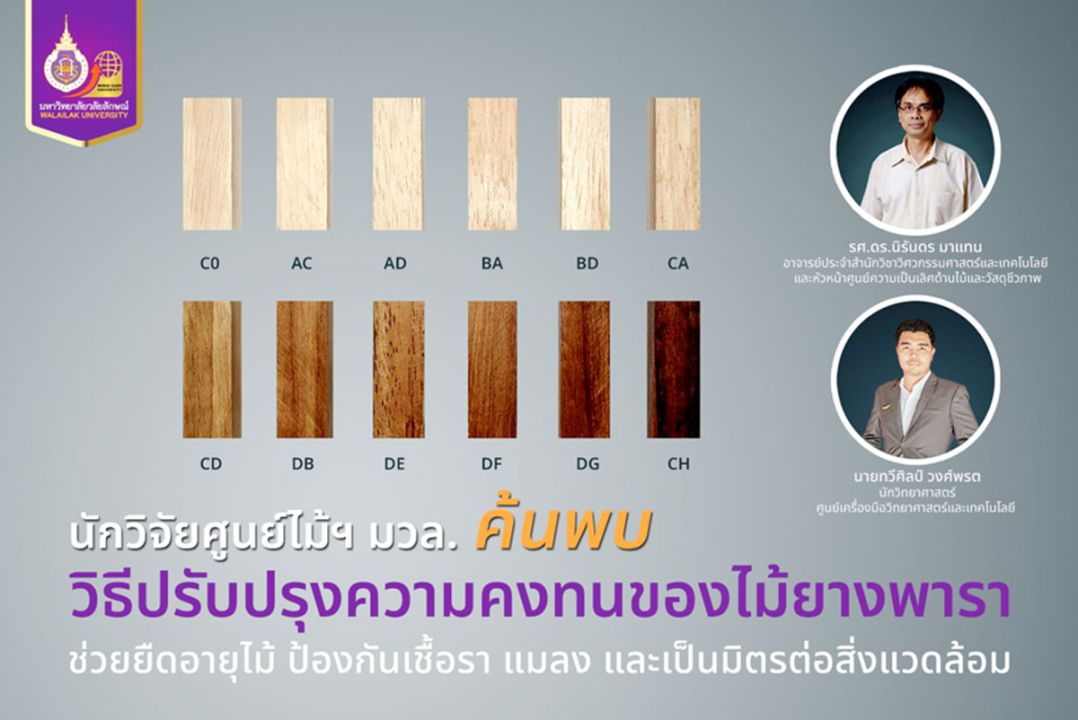 มวล. ค้นพบปรับความคงทนไม้ยางพารา  ปลอดภัยต่อมนุษย์และสิ่งแวดล้อม