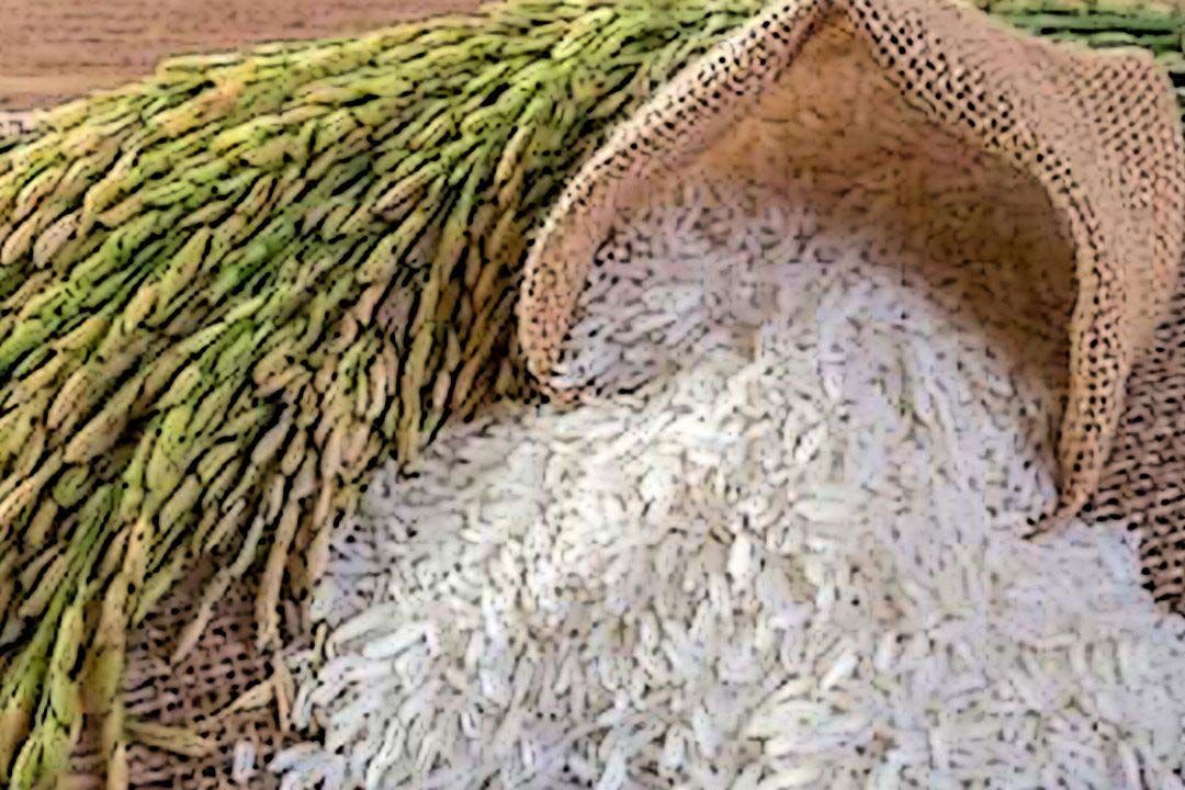 ข้าวเถื่อน