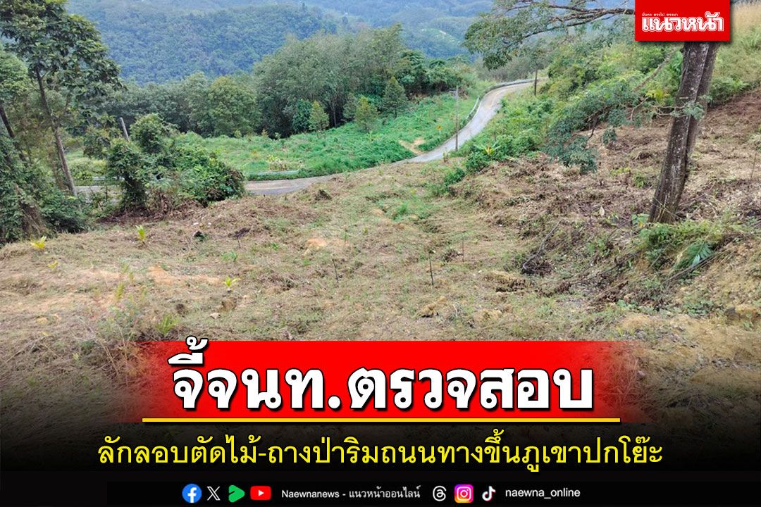 ชาวบ้านร้องสื่อพบลักลอบตัดไม้ถางป่าริมถนนทางขึ้น'ภูเขาปกโย๊ะ'จี้ จนท.ตรวจสอบ