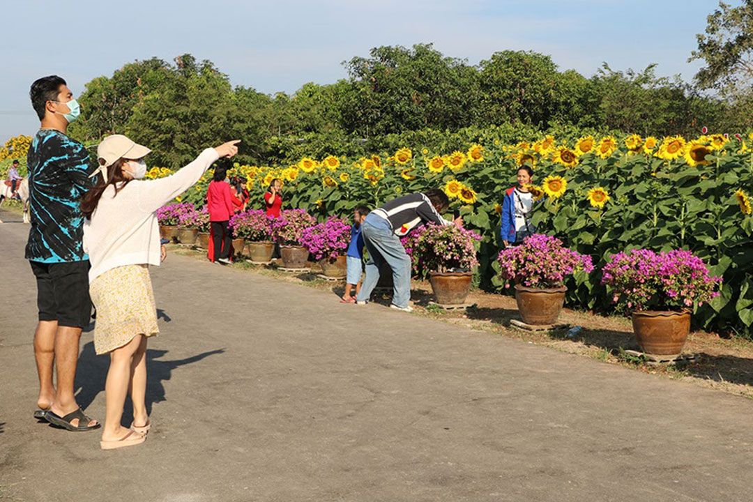 ผู้ว่าฯราชบุรีชวนชมไฟล้านดวง'ณสัทธาอุทยานไทย ดอกทานตะวันบานที่เขาชะงุ้ม'รับศักราชใหม่