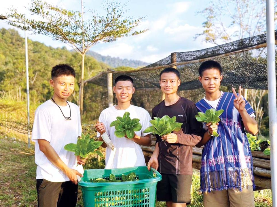 ปลูกผักปลอดสารพิษเพื่อรับประทาน