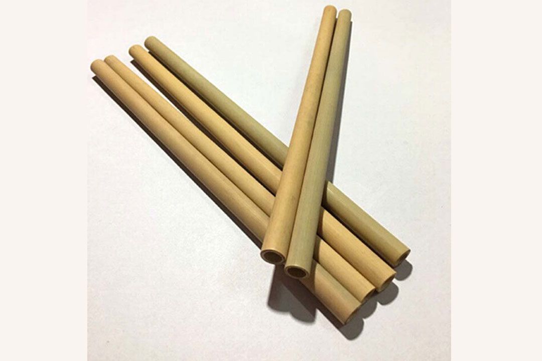 วิทยาศาสตร์ สำหรับเยาวชน : หลอดจากธรรมชาติ
