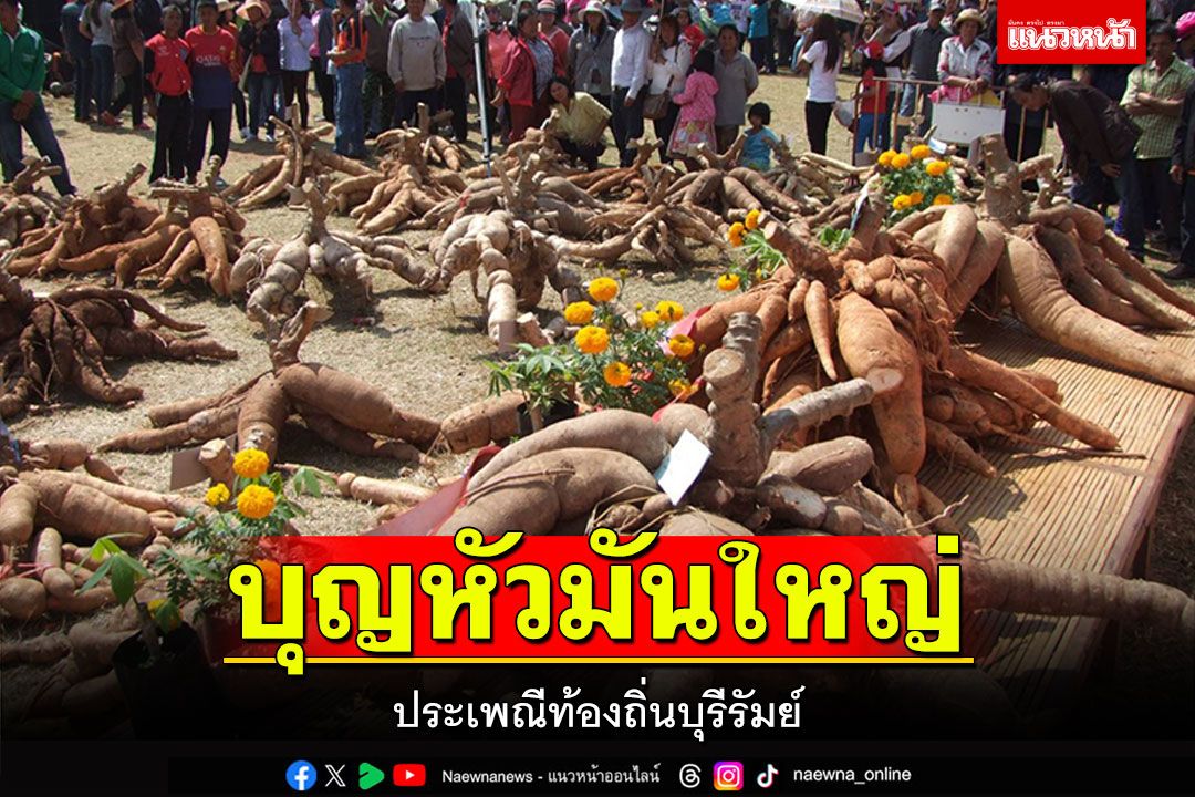 'ประเพณีบุญหัวมันใหญ่' อนุรักษ์ประเพณีท้องถิ่น ส่งเสริมเกษตรกรพัฒนาผลผลิตราคาสูง