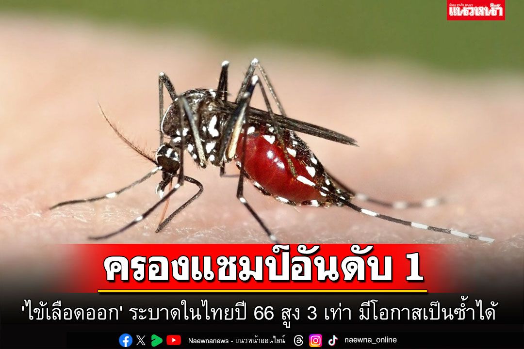 'ไข้เลือดออก' ครองแชมป์อันดับ 1 ระบาดในไทยปี 66 สูง 3 เท่า มีโอกาสเป็นซ้ำได้