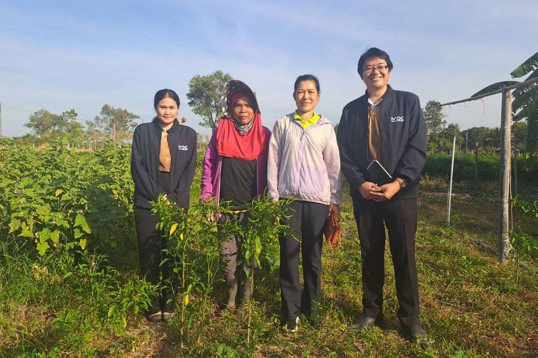 พาณิชย์จังหวัดศรีสะเกษติดตามสถานการณ์ 'พริกชี้ฟ้าแดง' เร่งนำผู้ประกอบการรับซื้อ