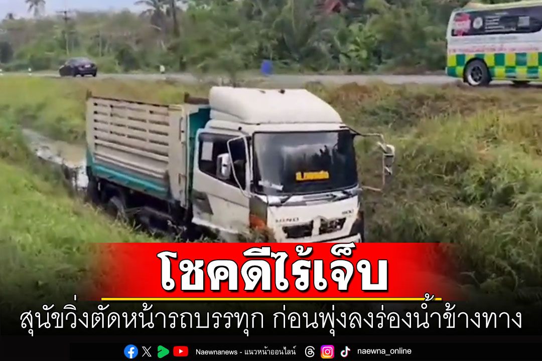 สุนัขวิ่งตัดหน้ารถบรรทุก6ล้อ โชเฟอร์ตกใจหักหลบรถพุ่งลงคูน้ำข้างทาง
