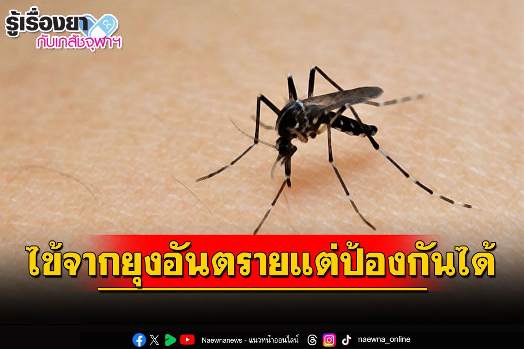 รู้เรื่องยากับเภสัชจุฬาฯ : ไข้จากยุงอันตราย แต่ป้องกันได้