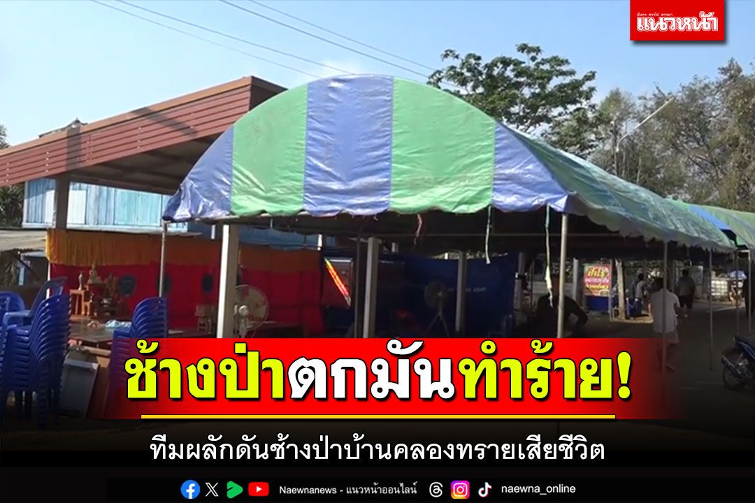 คืบหน้า! ทีมผลักดันช้างป่าบ้านคลองทราย ถูกช้างป่าตกมันทำร้าย