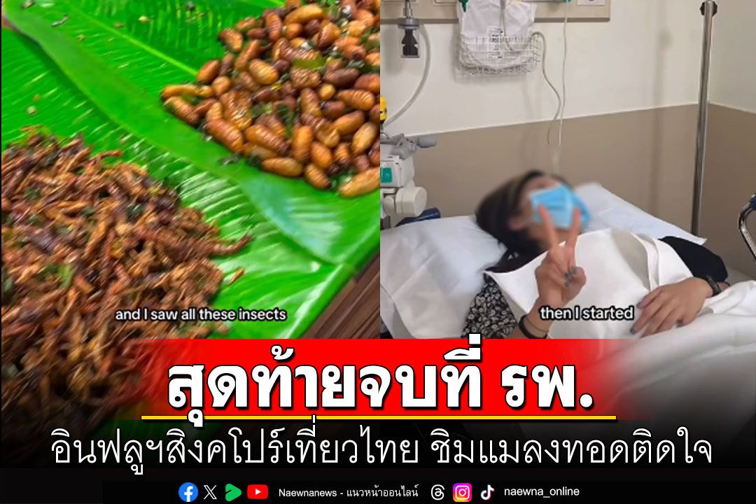 อินฟลูฯสิงคโปร์เที่ยวไทย ชิมแมลงทอดติดใจ อร่อยไม่หยุด ก่อนไปสุดที่ รพ. (คลิป)