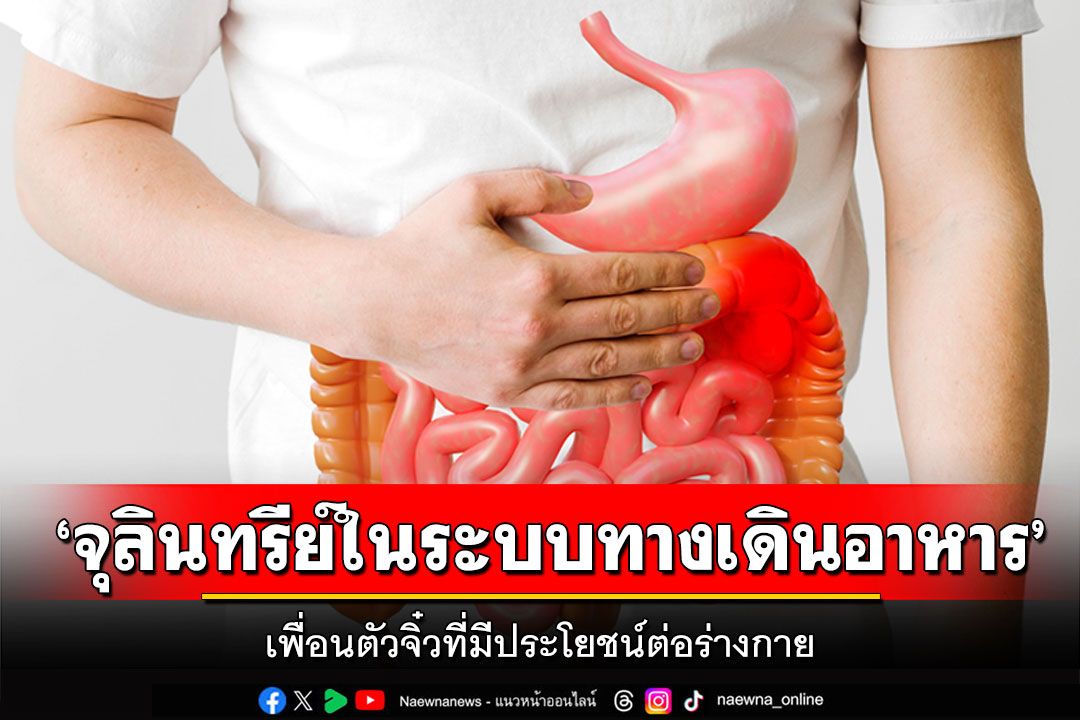 ‘จุลินทรีย์ในระบบทางเดินอาหาร’ เพื่อนตัวจิ๋วที่มีประโยชน์ต่อร่างกาย