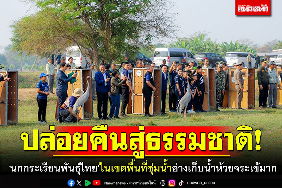 ปล่อยคืนสู่ธรรมชาติ! นกกระเรียนพันธุ์ไทย10ตัว ในเขตพื้นที่ชุ่มน้ำอ่างเก็บน้ำห้วยจระเข้มาก