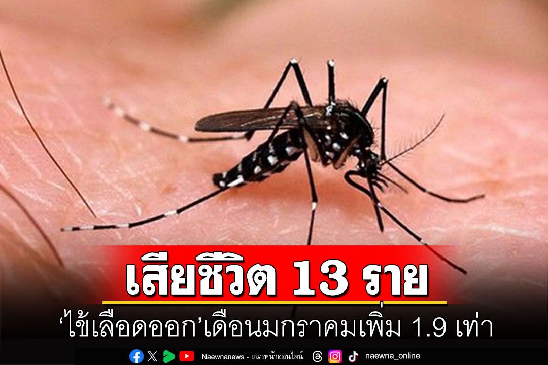 ผงะ! 'ไข้เลือดออก'เดือนมกราคมเพิ่ม 1.9 เท่า ยืนยันการเสียชีวิต 13 ราย