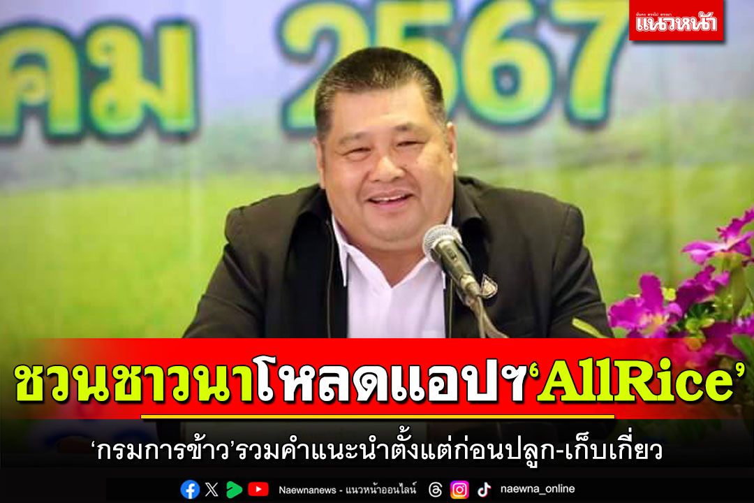 ‘กรมการข้าว’ชวนชาวนาโหลดแอปฯ‘AllRice’ รวมคำแนะนำตั้งแต่ก่อนปลูก-เก็บเกี่ยว