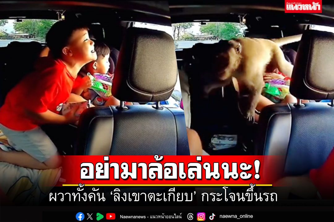 เกือบขำไม่ออก! ลูกชายเปิดกระจกหยอกลิง กระโจนเข้ามาในรถ ผวาทั้งคัน