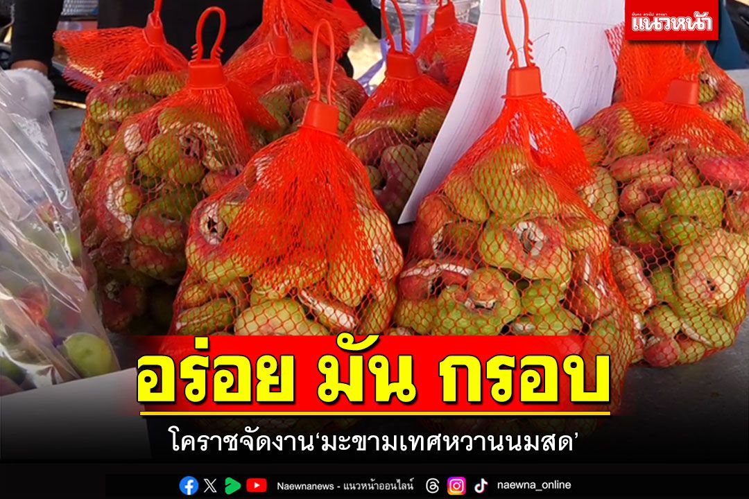 โคราชคึกคัก! จัดงาน'มะขามเทศหวานนมสด' รสชาติอร่อย มัน กรอบ