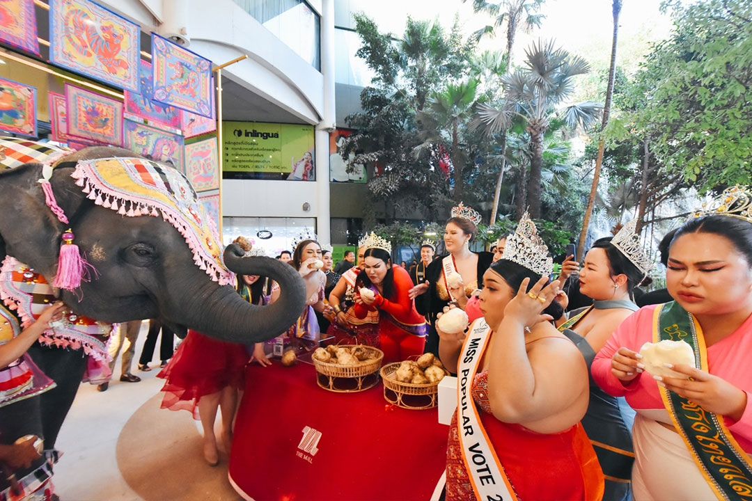 ฮือฮา!!! เมืองย่าโมเปิดเวทีสาว'บิ๊กไซส์' ทรงอึ๋ม ชิงตำแหน่งธิดาช้างเมืองย่าไทยแลนด์ 2024