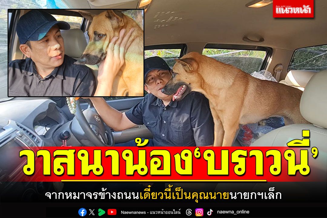 วาสนาเจ้าบราวนี่! เมื่อก่อนคุ้ยขยะข้างถนน เดี๋ยวนี้นอนเตียงเดียวกับนายกฯแล้ว