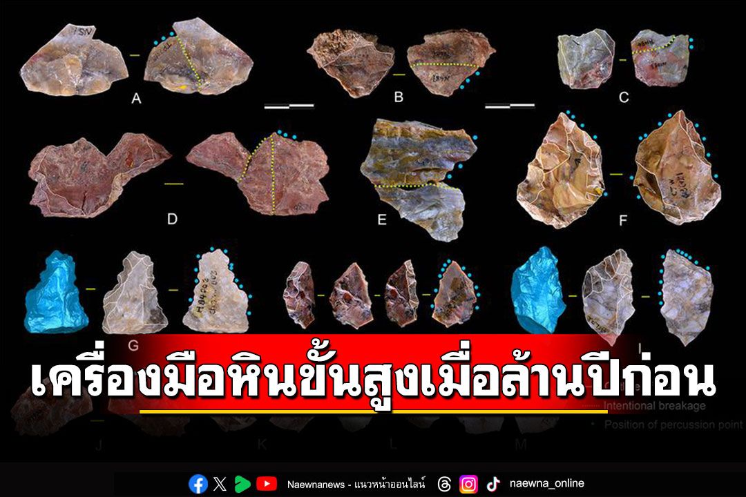 พบมนุษย์'โฮมินินเอเชียตะวันออก'มีเครื่องมือหินขั้นสูง ตั้งแต่1.1ล้านปีก่อน