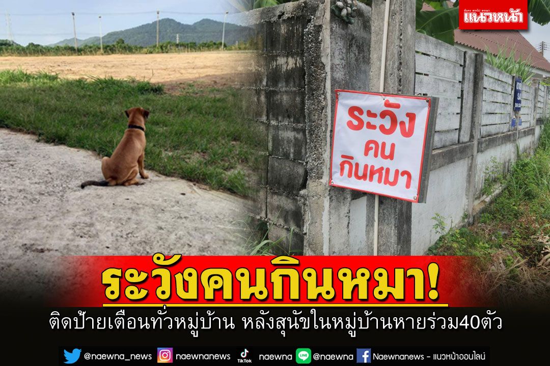 เจ้าของสุนัขผวา! ติดป้ายทั่วหมู่บ้าน'ระวังคนกินหมา'หลังสุนัขที่เลี้ยงไว้-สุนัขจรหายร่วม 40 ตัว