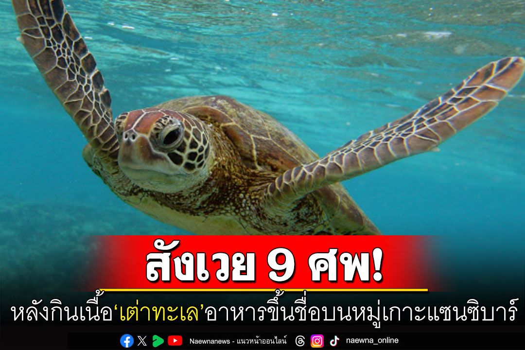 สังเวย9ศพ! ชาวแทนซาเนียเปิบเนื้อ'เต่าทะเล'อาหารอันโอชะบนเกาะเพมบา หามส่งรพ.อีกเกือบร้อย