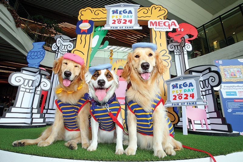 ชวนครอบครัวและเหล่าตัวแสบสี่ขา  มาเสพงานศิลป์ ป่วนงานอาร์ต  งาน MEGA PET DAY 2024 : PAW OF FAME