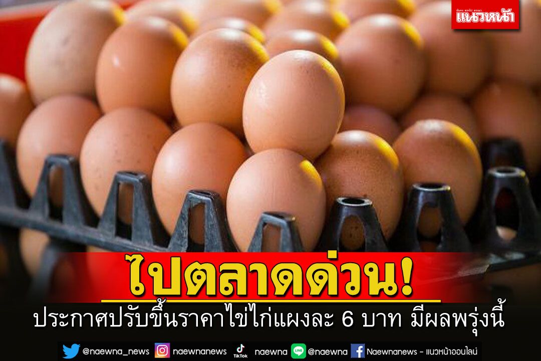 'เครือข่ายสหกรณ์ผู้เลี้ยงไก่ไข่'ประกาศปรับขึ้นราคาไข่ไก่แผงละ 6 บาท มีผลพรุ่งนี้