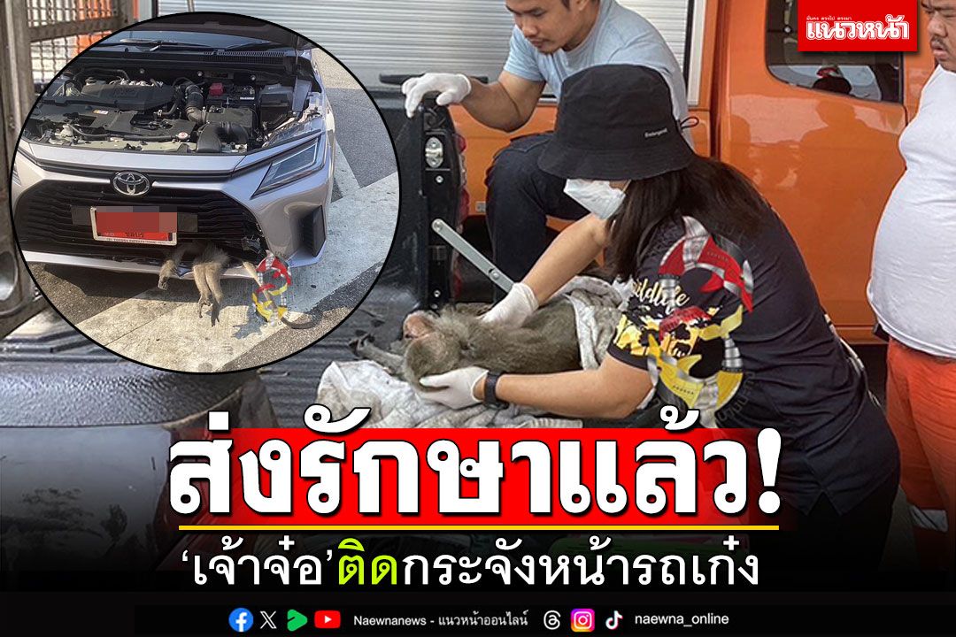 ถึงมือหมอแล้ว! 'เจ้าจ๋อ'ติดแหง็กกระจังหน้าเก๋งป้ายแดง