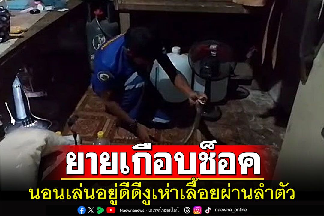 ยายวัย63สะดุ้งโหยง!กำลังนอนเล่นอยู่ในบ้าน'งูเห่าไทย'เลื้อยผ่านลำตัว
