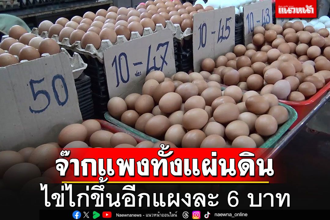 อั้นไม่อยู่แล้ว!! 'ไข่ไก่'ราคาพุ่งอีกแผงละ 6 บาท มีผล 29 เม.ย.นี้ รอบสองของเดือนนี้