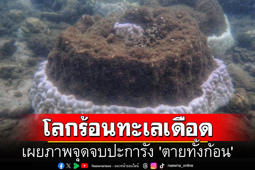 ภัยพิบัติครั้งใหญ่! ดร.ธรณ์เผยภาพจุดจบปะการัง 'ตายทั้งก้อน' เหตุโลกร้อนทะเลเดือด