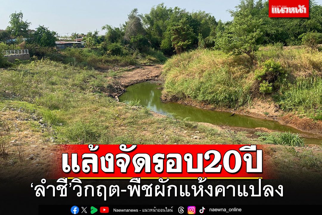 ชัยภูมิแล้งหนักในรอบ 20 ปี 'ลำชี'วิกฤตน้ำแห้งขอด พืชผักเหี่ยวตายคาแปลง