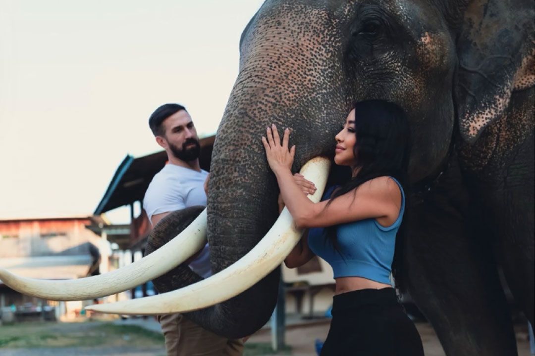 หนังไทยพุ่งสู่ระดับโลก ‘คช Mahout’ หวังต่างชาติเข้าใจช้างไทย