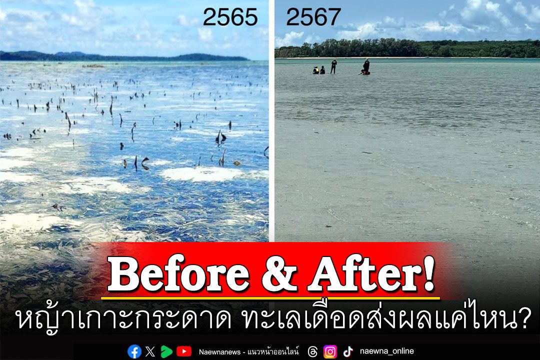 'อ.ธรณ์'เทียบชัดๆ หญ้าเกาะกระดาด Before & After ทะเลเดือดส่งผลแค่ไหน?