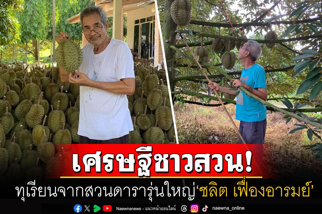 เศรษฐีตัวจริง! 'แนน ชลิตา'อวดภาพทุเรียนสวน'ตุ่ม ชลิต' เห็นแบบนี้ถึงกับต้องจองข้ามปี